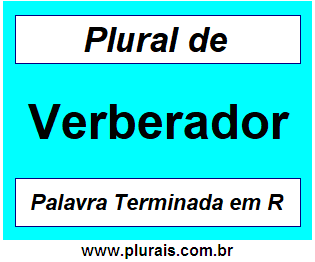 Plural de Verberador