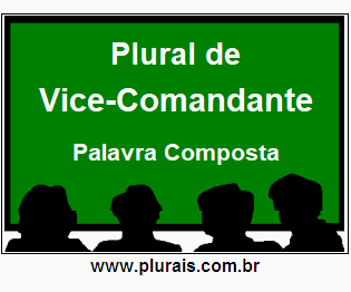 Plural de Vice-Comandante