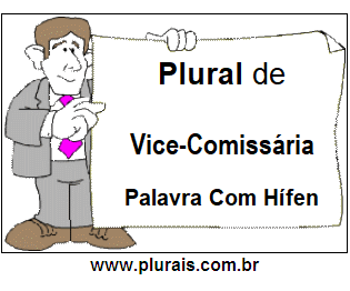 Plural de Vice-Comissária