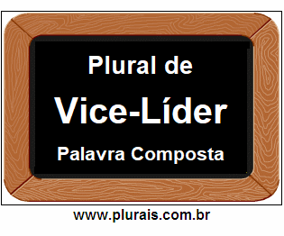 Plural de Vice-Líder