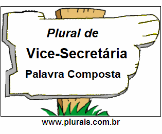 Plural de Vice-Secretária