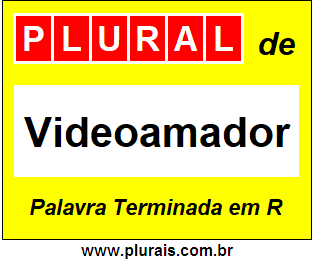 Plural de Videoamador