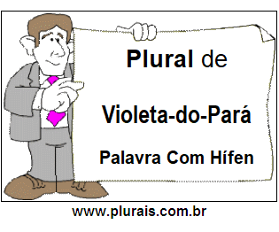 Plural de Violeta-do-Pará
