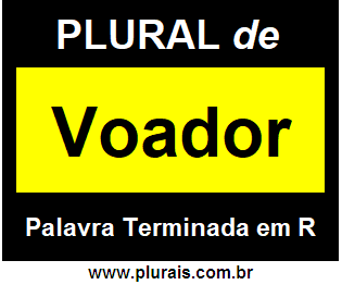 Plural de Voador