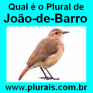 Plural de João-de-Barro